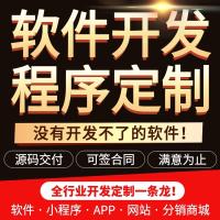 企业官网设计开发【百度+谷歌海外独立站】